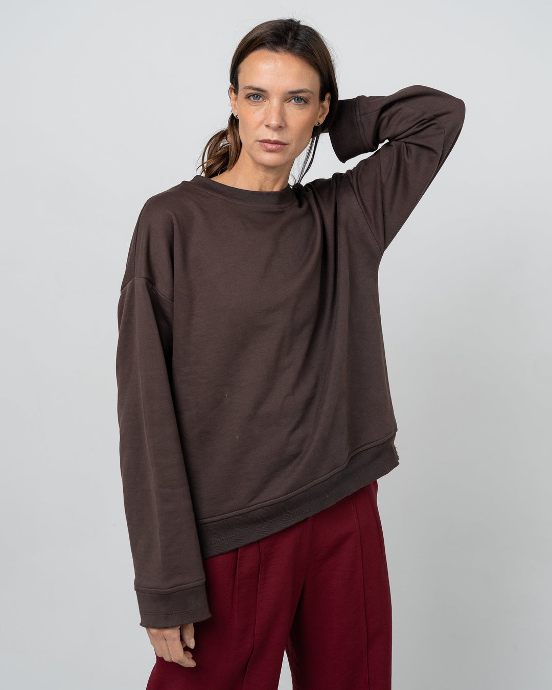 Polerón algodón pima orgánico color Marrón - Vista trasera